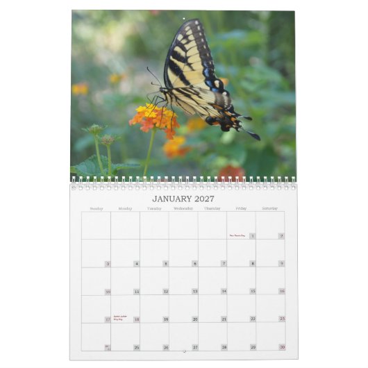 Een aanraking van de Sun Butterfly Kalender (Jan 2027)