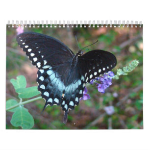 Een aanraking van de Sun Butterfly Kalender