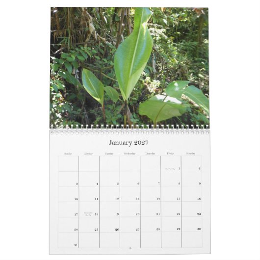 Een aanraking van de tropen kalender (Jan 2027)