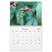 Een aanraking van de zon kalender (Feb 2026)