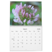 Een aanraking van de zon kalender (Mar 2026)