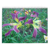 Een aanraking van de zondag kalender (Hoes)