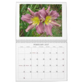 Een aanraking van de zondag kalender (Feb 2027)