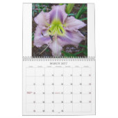 Een aanraking van de zondag kalender (Mar 2027)