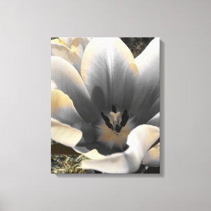 Een aanraking van Geel Canvas Afdruk