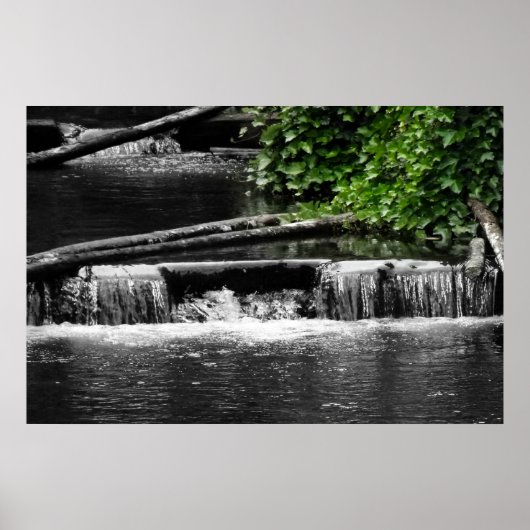 Een aanraking van Groen Poster (Voorkant)