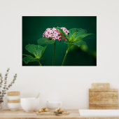 Een aanraking van Roze in de Groene Druk Poster (Keuken)