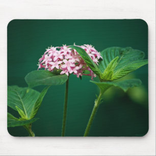 Een aanraking van Roze in de Groene Mousepad Muismat