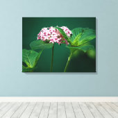 Een aanraking van Roze in de Groenen Canvas Afdruk (Insitu (Houten vloer))