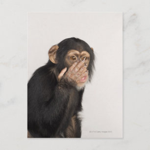 Een aap die zijn gezicht wrijft briefkaart