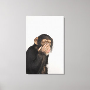 Een aap die zijn gezicht wrijft canvas afdruk