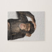 Een aap die zijn hoofd krabt legpuzzel (Horizontaal)