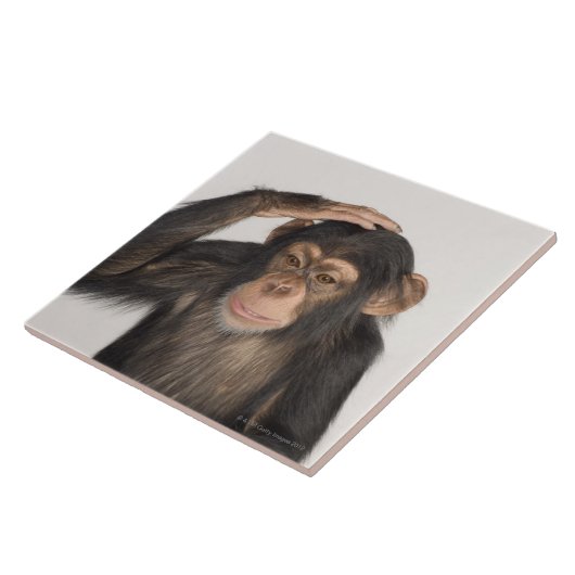 Een aap die zijn hoofd krabt tegeltje (Zijkant)