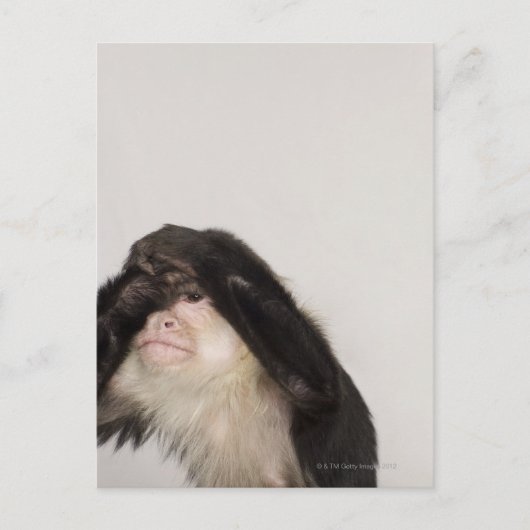 Een aap die zijn ogen bedekt briefkaart (Voorkant)