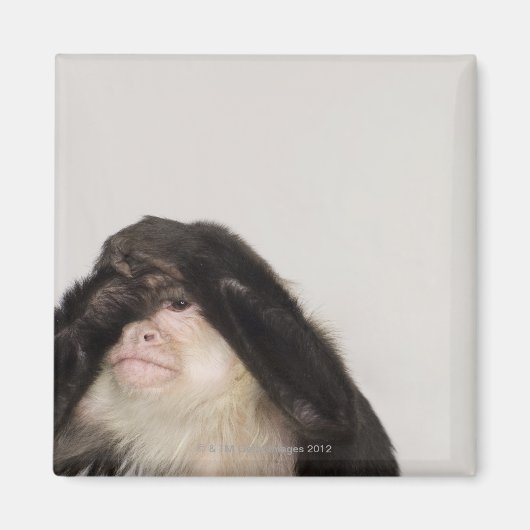 Een aap die zijn ogen bedekt magneet (Voorkant)