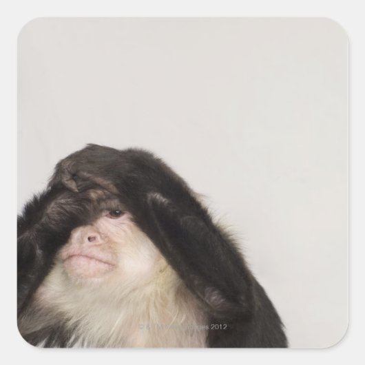 Een aap die zijn ogen bedekt vierkante sticker (Voorkant)
