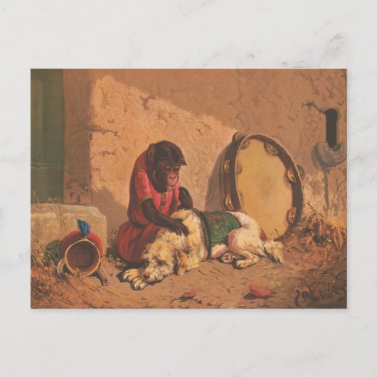 Een aap en een hond met een grote tamboerijn briefkaart (Voorkant)