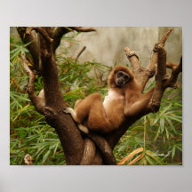 Een aap in een boomcanvas afdrukken