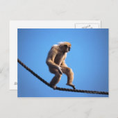 Een aap loopt op touw briefkaart (Voorkant / Achterkant)
