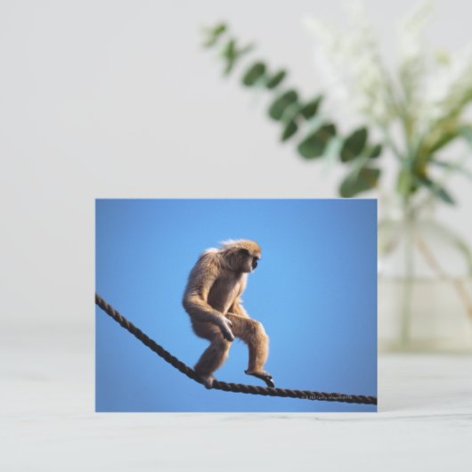 Een aap loopt op touw briefkaart (Staand voorkant)