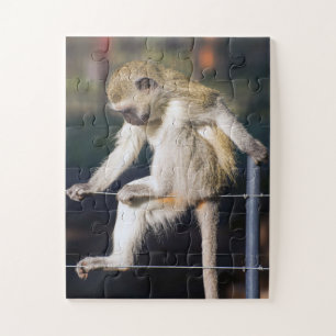 Een aap met diep verstand legpuzzel