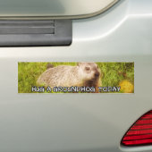 Een aardhoed vandaag met een bumpersticker (Op auto)