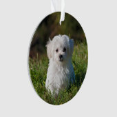 Een acrylkerstversiering maken - Pic/Text toevoege Ornament (voorkant)