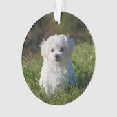 Een acrylkerstversiering maken - Pic/Text toevoege Ornament (voorkant)