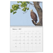 Een adelaarsfamilie kalender (Feb 2027)