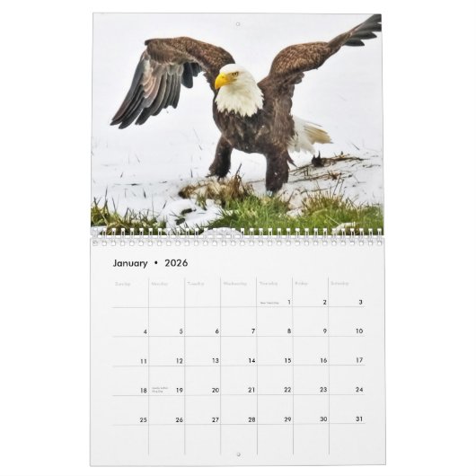Een adelaarsfamilie kalender (Jan 2026)