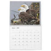 Een adelaarsfamilie kalender (Mar 2027)