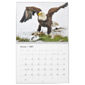 Een adelaarsfamilie kalender (Jan 2027)