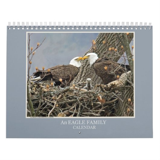 Een adelaarsfamilie kalender (Hoes)