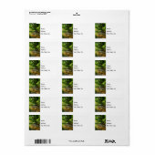 Een Adresetiket voor het maken van een land Etiket (Full Sheet)