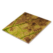 Een Afbeelding met aardegeel en bruin leder Tegeltje (Zijkant)