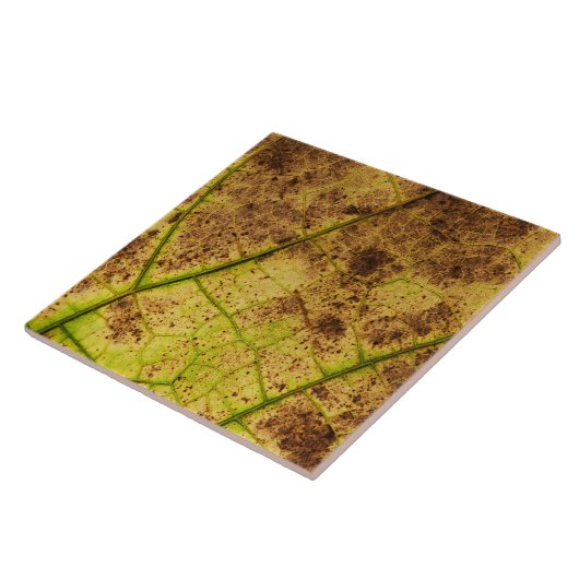 Een Afbeelding met aardegeel en bruin leder Tegeltje (Zijkant)