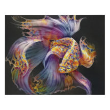 Een afbeelding van een aquariumvis