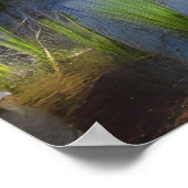 Een afbeelding van een boslandschap in een moeras poster (Hoek)