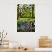 Een afbeelding van een boslandschap in een moeras poster (Keuken)