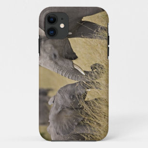 Een Afrikaanse olifant die graast in de velden Case-Mate iPhone Case