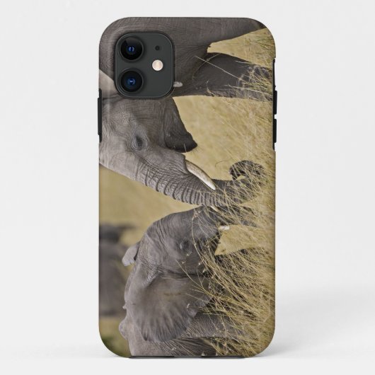 Een Afrikaanse olifant die graast in de velden Case-Mate iPhone Case (Achterkant)