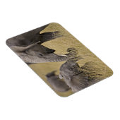 Een Afrikaanse olifant die op de velden grazen Magneet (Rechterzijde)