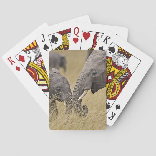 Een Afrikaanse olifant graast in de velden Speelkaarten (Achterkant)