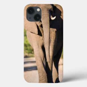 Een Afrikaanse Olifant (Loxodonta Africana) Loopt Case-Mate iPhone Case