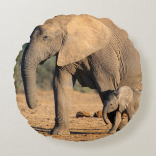 Een Afrikaanse olifant moeder en kalf op de been Rond Kussen