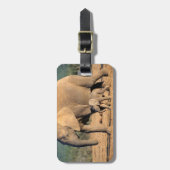 Een Afrikaanse olifantenmoeder en kalf onderweg Bagagelabel (Voorkant verticaal)