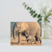 Een Afrikaanse olifantenmoeder en kalf onderweg Briefkaart (Staand voorkant)