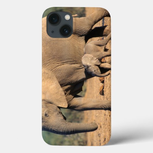 Een Afrikaanse olifantenmoeder en kalf onderweg Case-Mate iPhone Case (Achterkant)