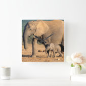 Een Afrikaanse olifantenmoeder en kalf onderweg Vierkante Klok (Huis)