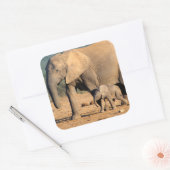 Een Afrikaanse olifantenmoeder en kalf onderweg Vierkante Sticker (Envelop)